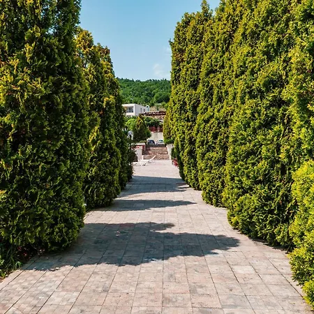 Privilege سفيتي فلاس