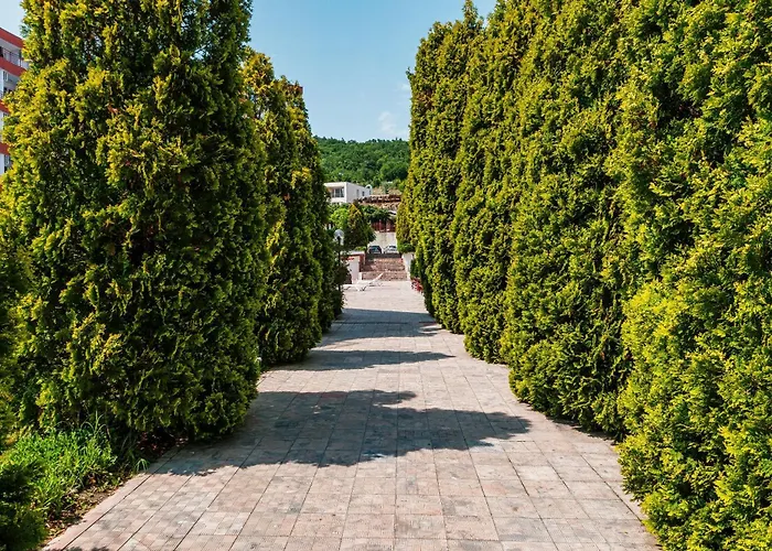 Privilege سفيتي فلاس