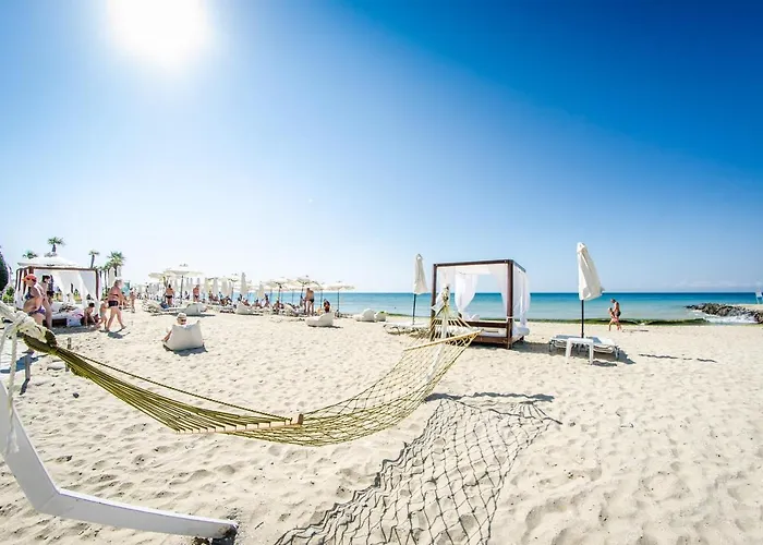 Privilege سفيتي فلاس